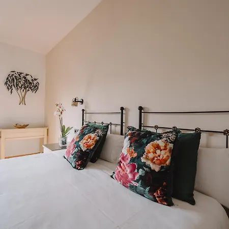 Boutique Cerro Del Sol Adults Only Recommended